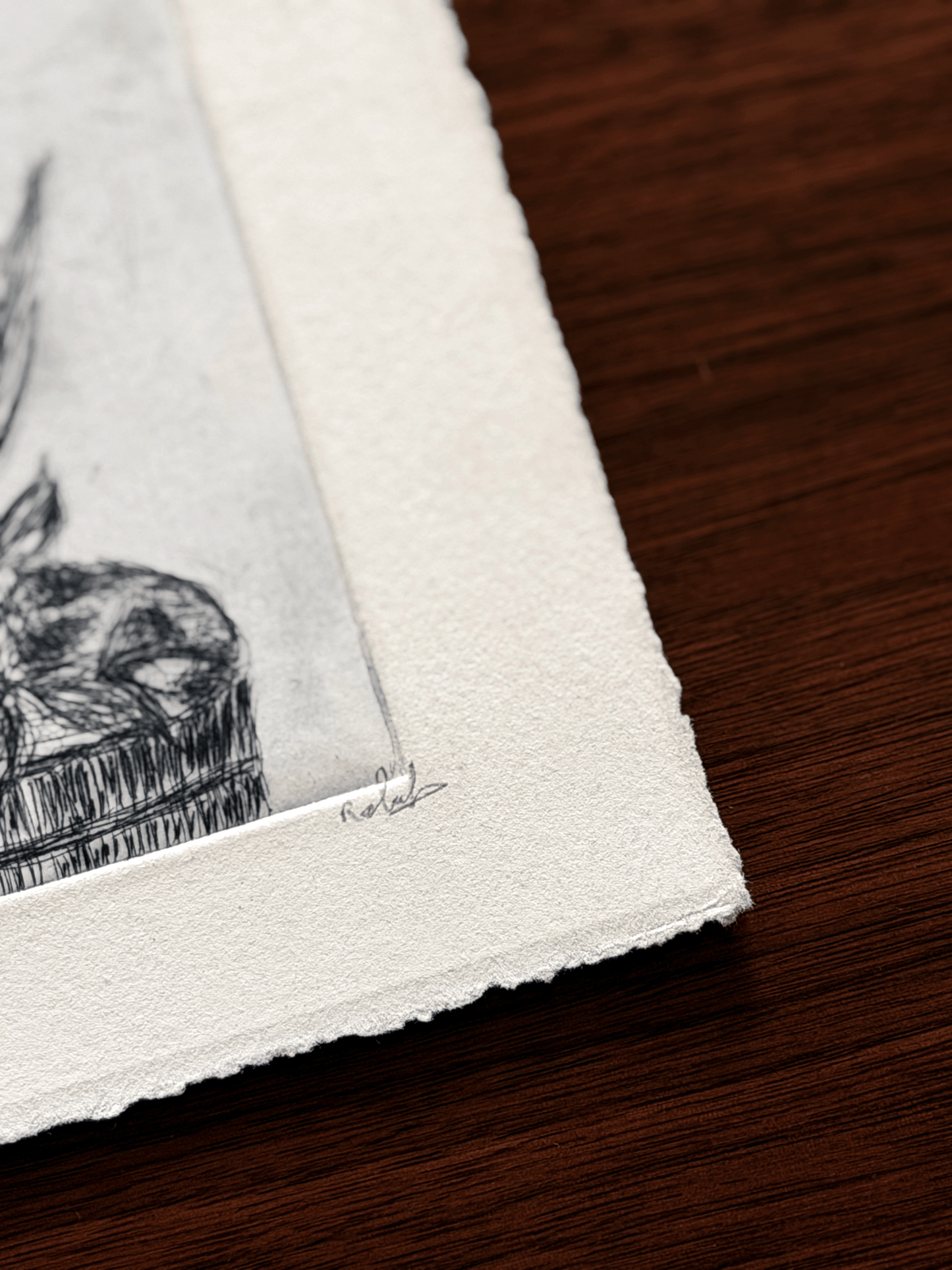 Close-up of artist signature on etching proof of botanicals with plate relief and deckled edge