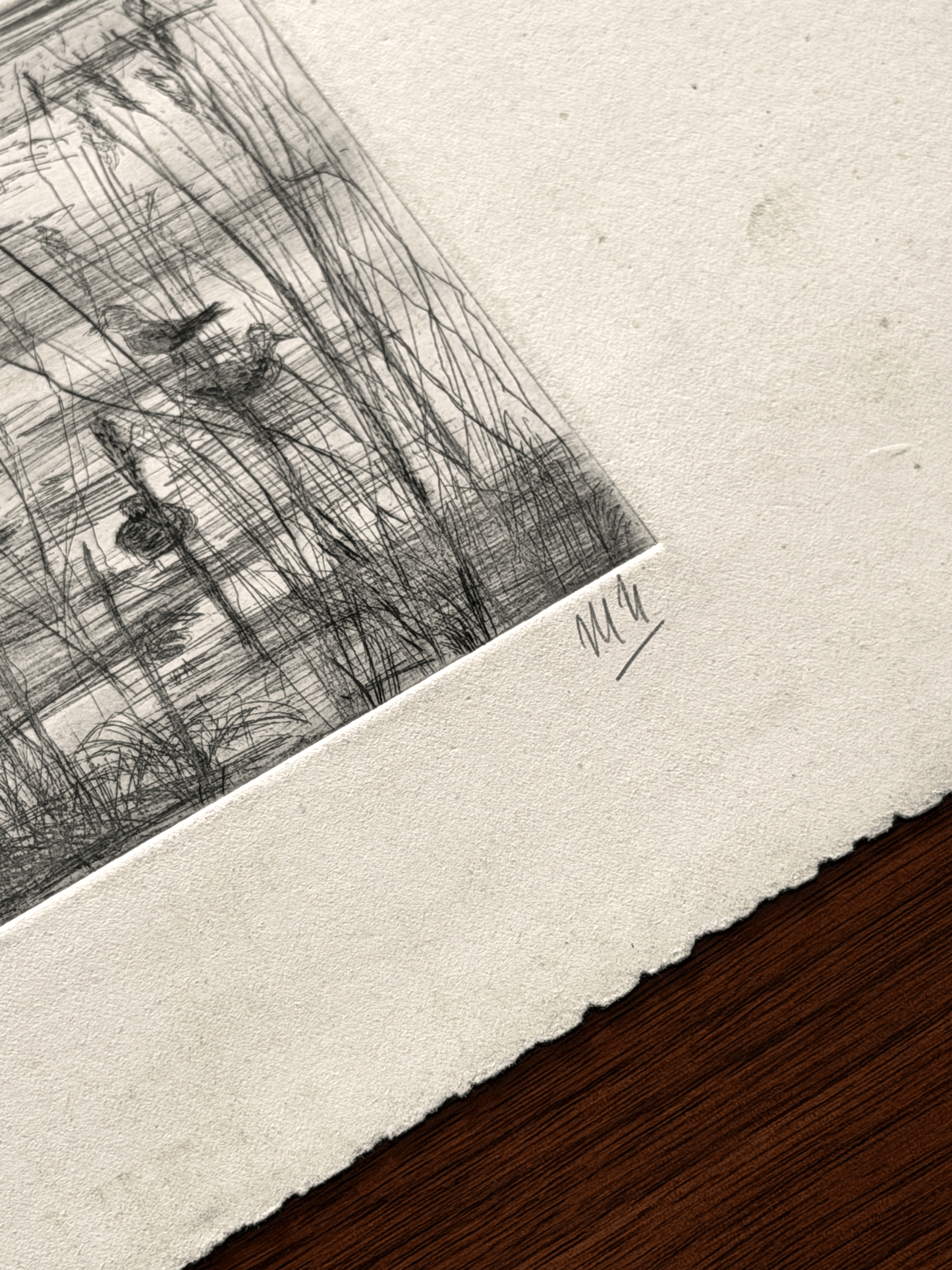 An original black and white intaglio etching with rough deckled edges. The right margin features the artist's handwritten initials.