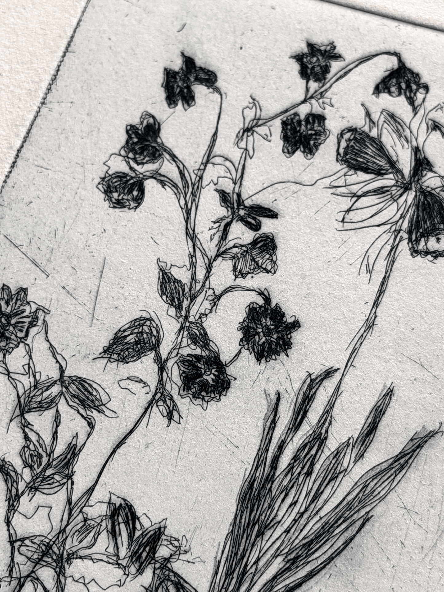 A close-up of a black ink floral etching on textured off-white paper, showing delicate flower stems, leaves, and sketchy botanical lines.