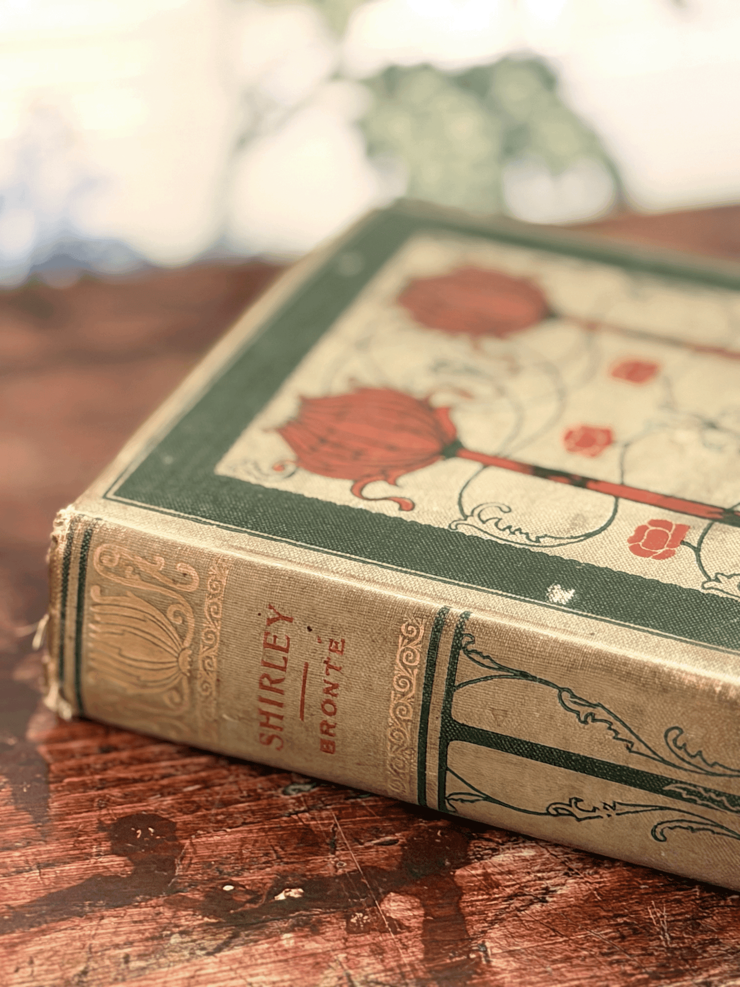 Shirley by Brontë