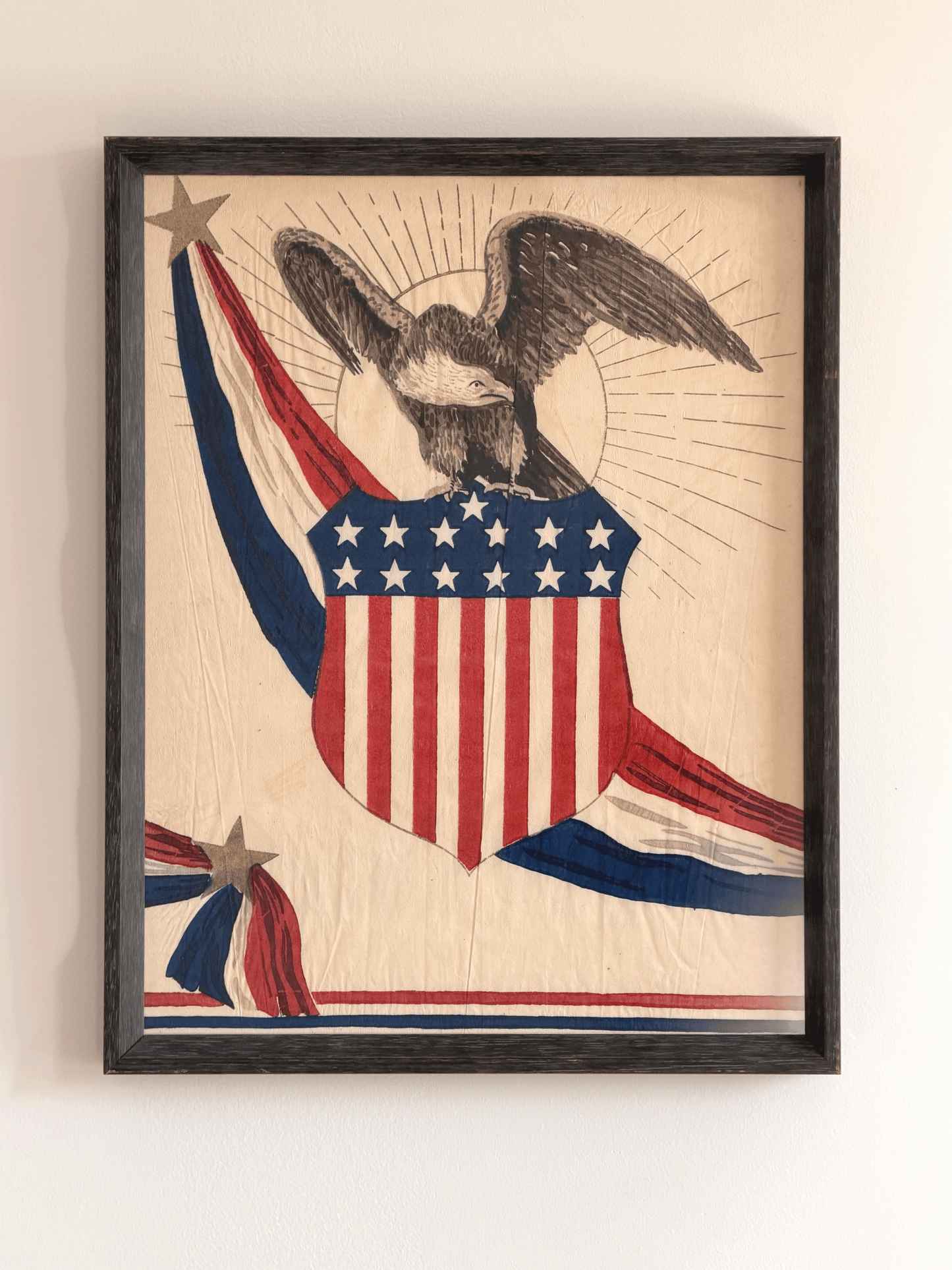 American Eagle Shield Art, Framed