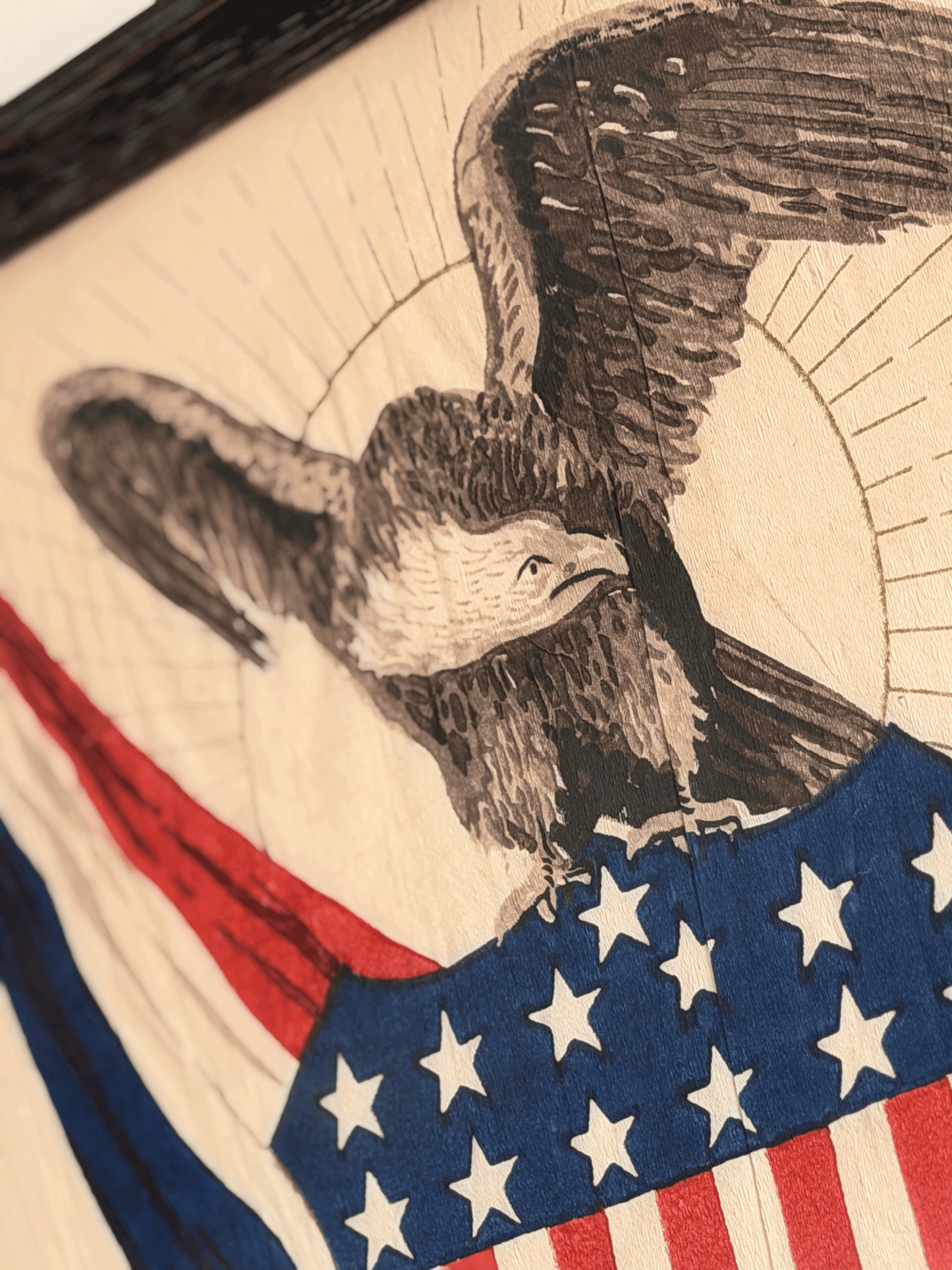 American Eagle Shield Art, Framed
