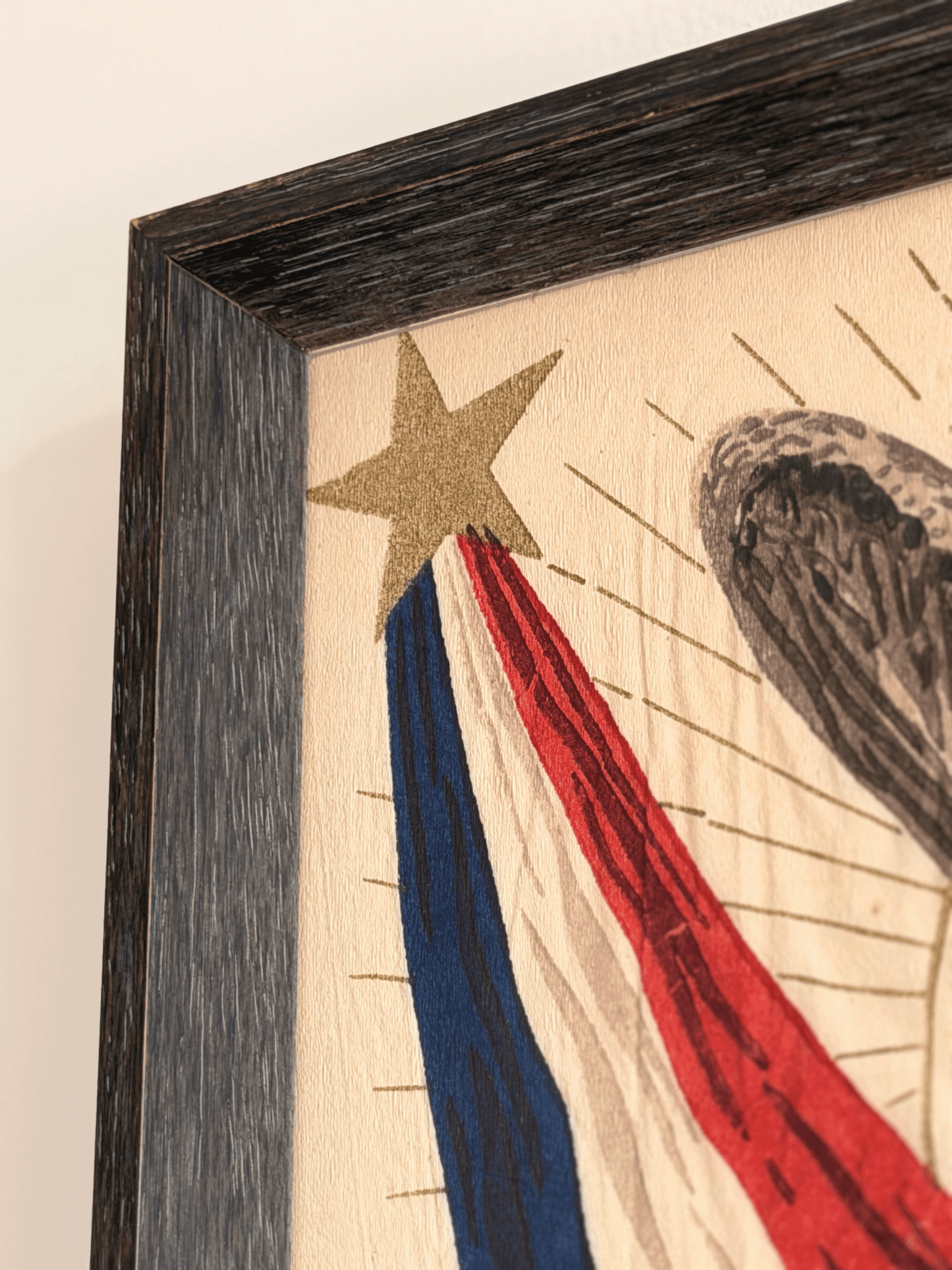 American Eagle Shield Art, Framed