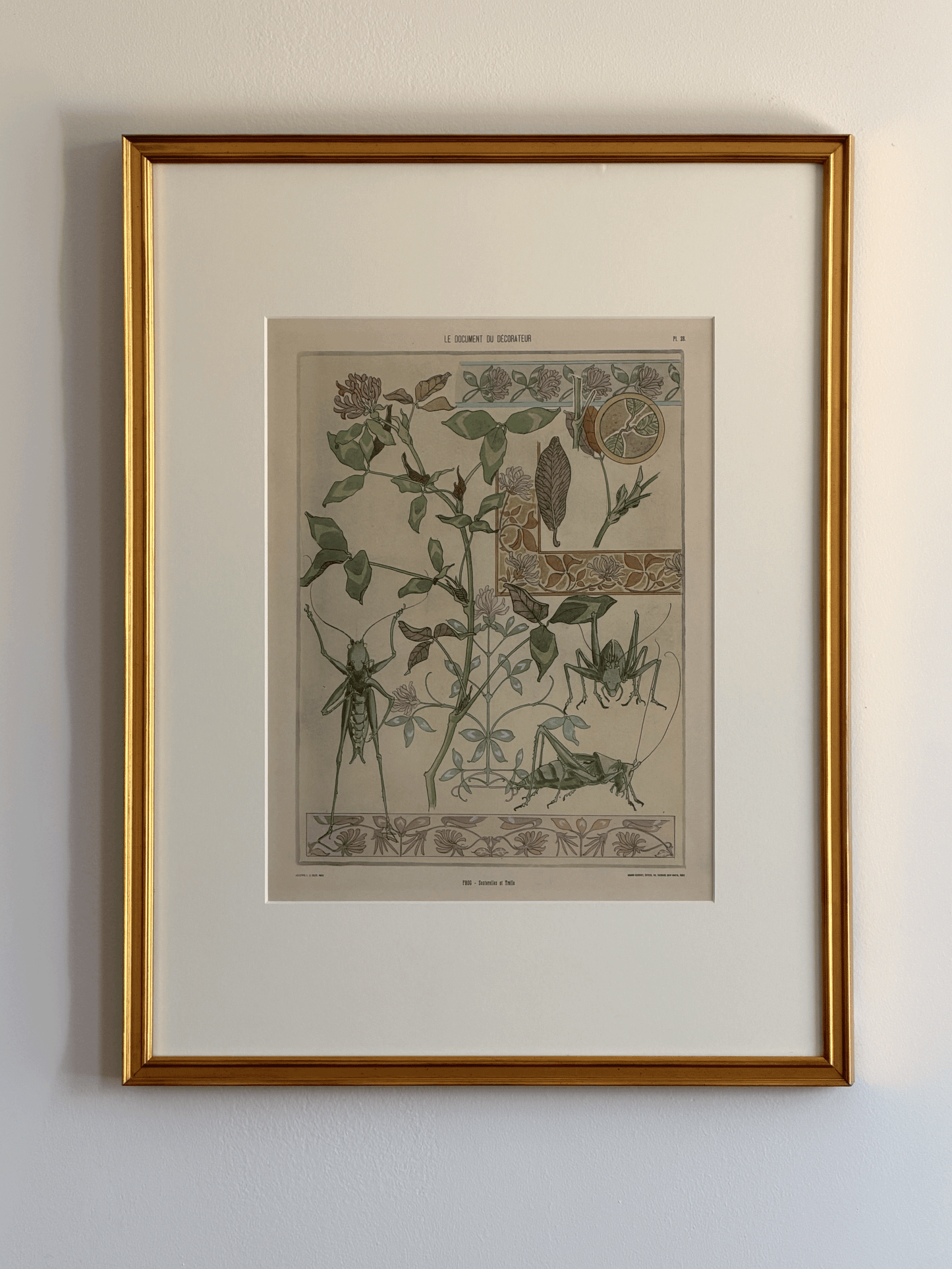 1900 Art Nouveau Design Pochoir, Botanical With Grasshoppers