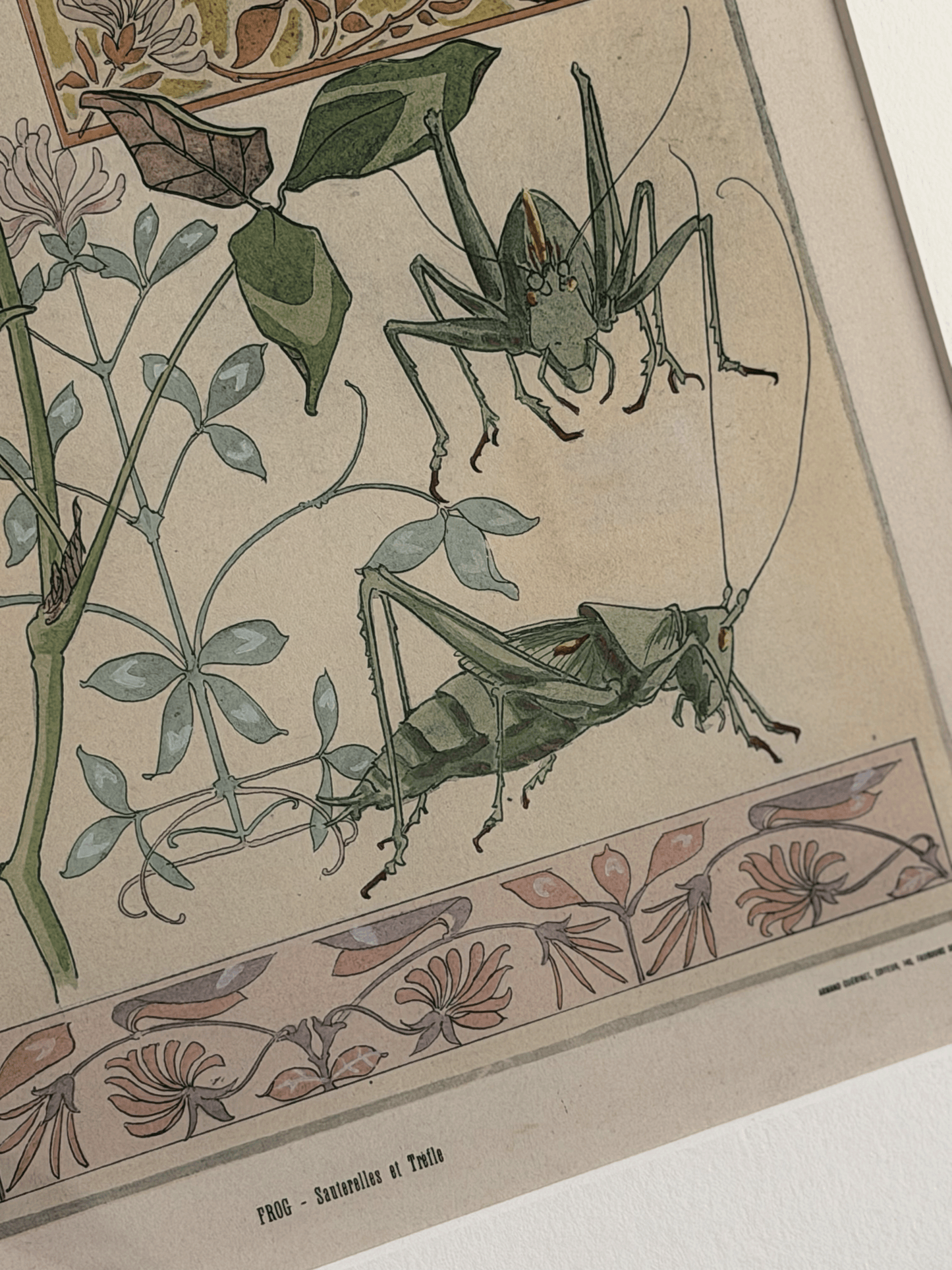 1900 Art Nouveau Design Pochoir, Botanical With Grasshoppers