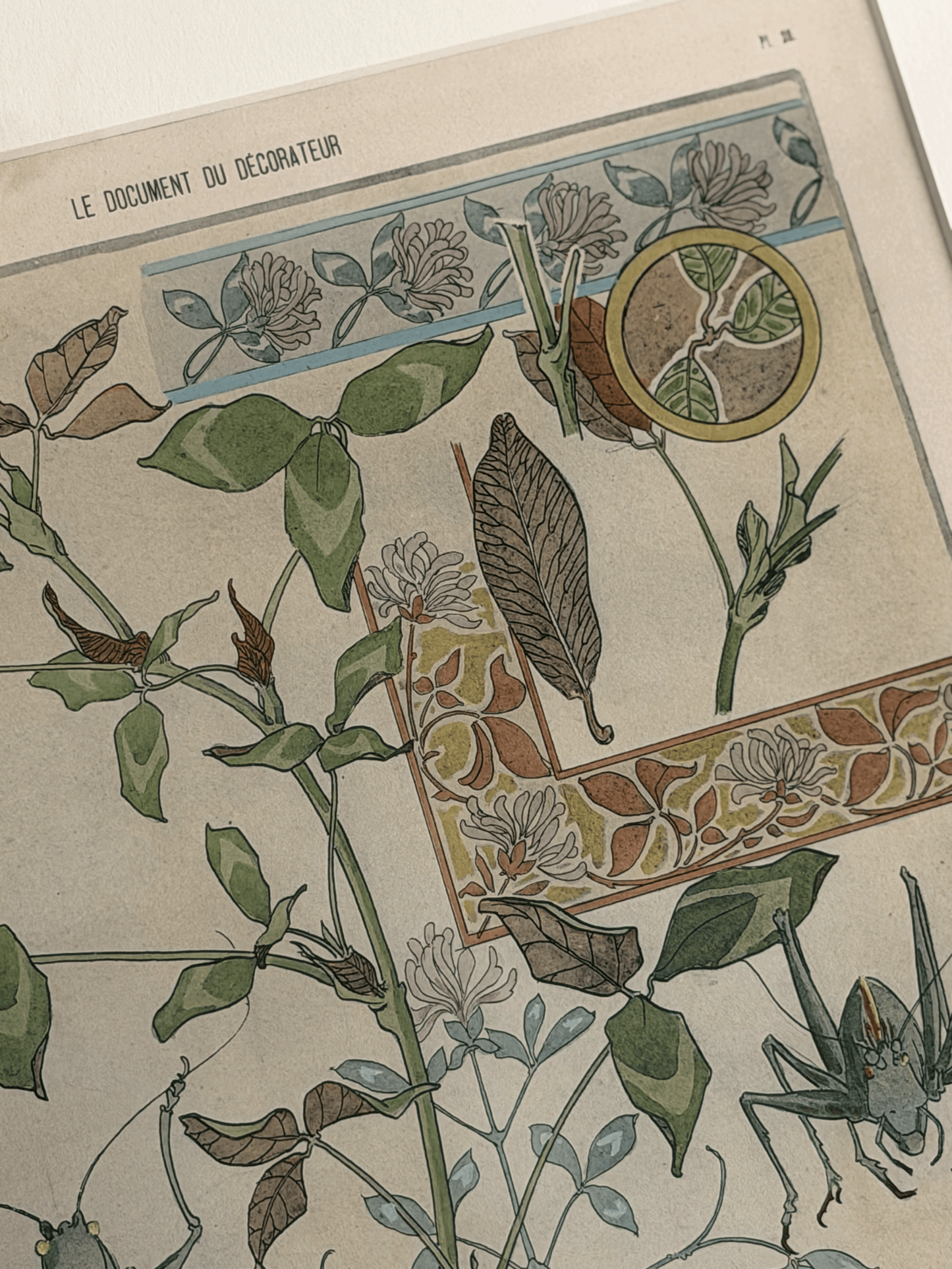 1900 Art Nouveau Design Pochoir, Botanical With Grasshoppers