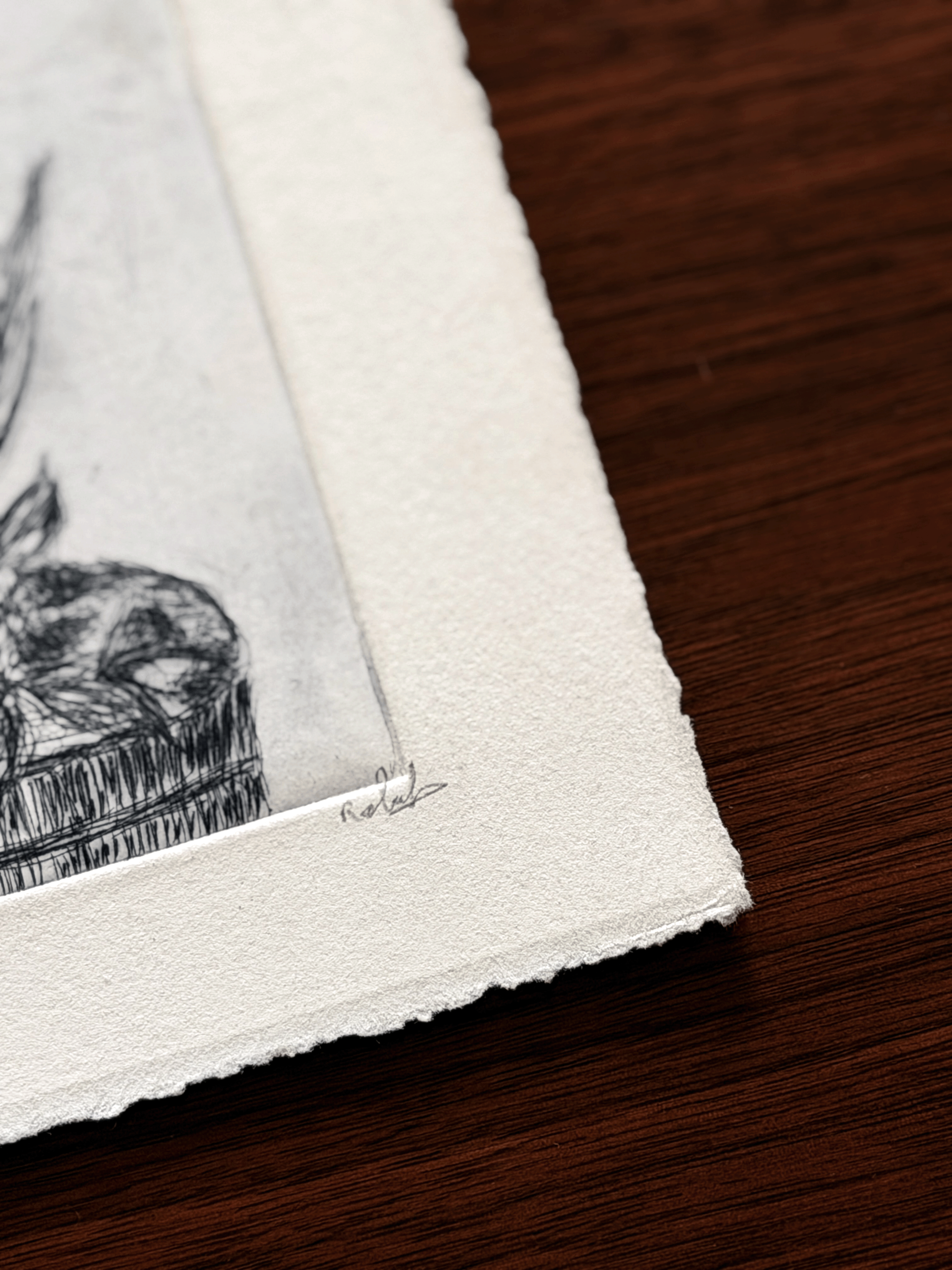 Close-up of artist signature on etching proof of botanicals with plate relief and deckled edge