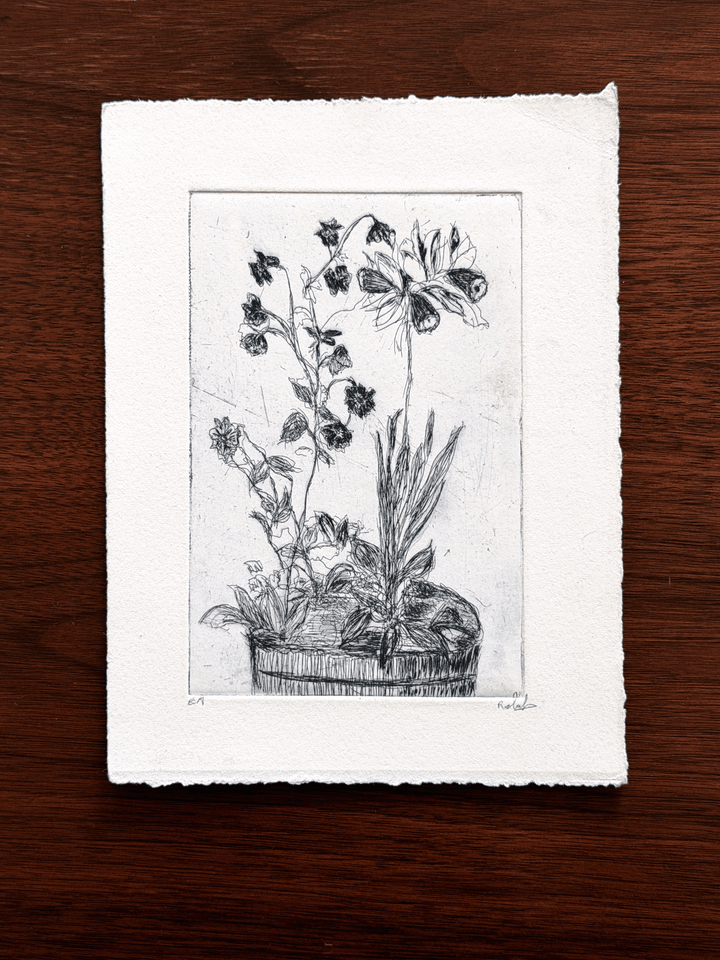 A black and white botanical etching on textured handmade paper, displayed flat on a dark wood background.