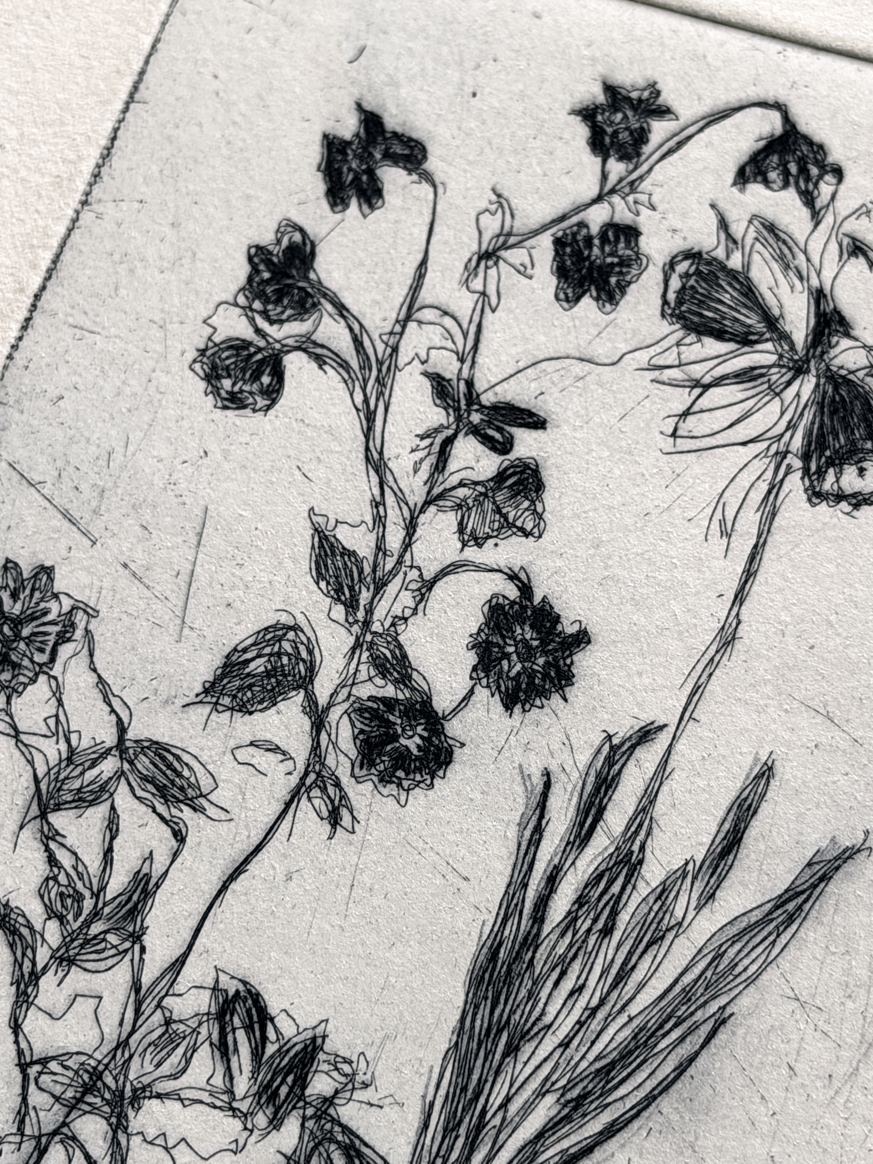 A close-up of a black ink floral etching on textured off-white paper, showing delicate flower stems, leaves, and sketchy botanical lines.