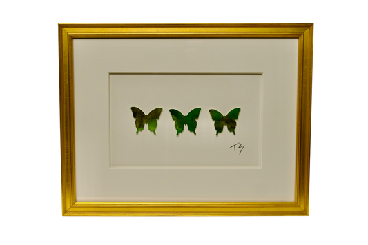 Three Butterflies 1