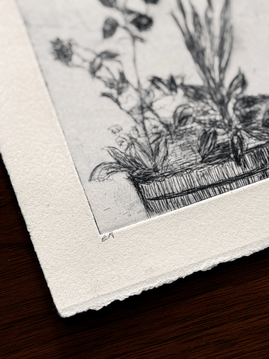 Close-up of EA marking "Épreuve d'Artiste" (Artists Proof) for a botanical etching with plate marks and deckled edge.