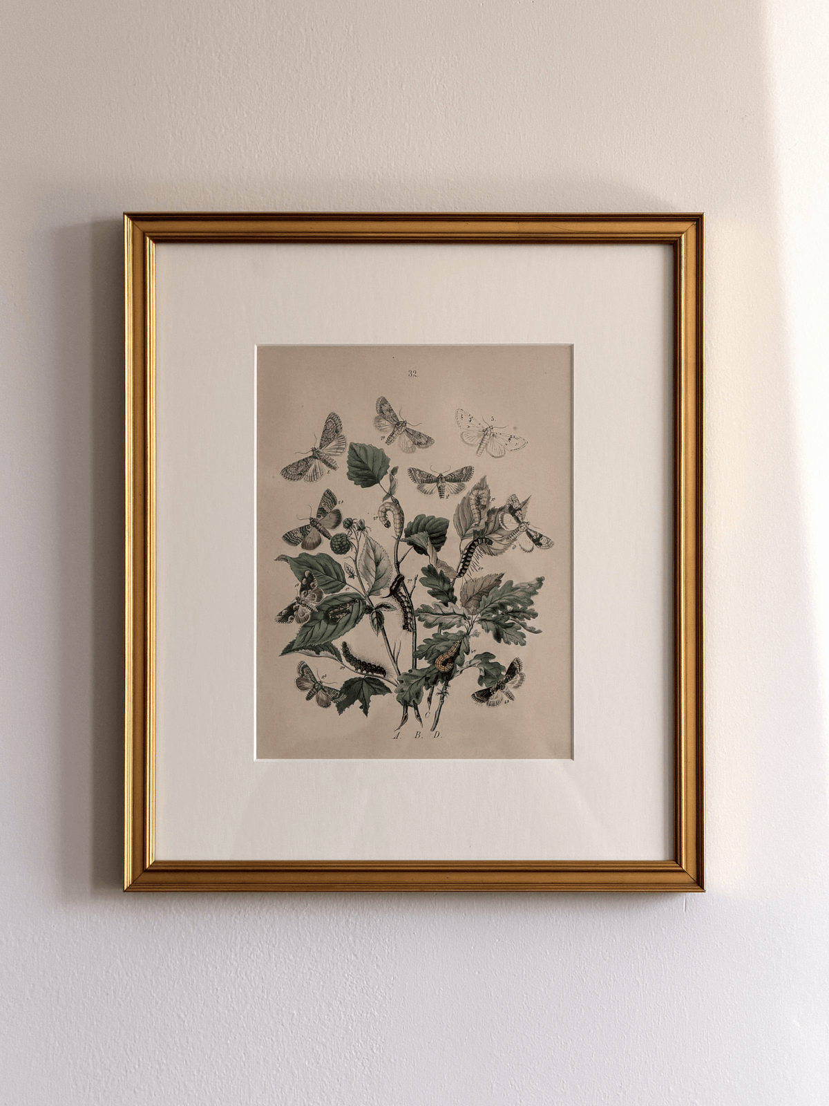 Antique 1843 Henry Noel Humphreys Hand-Colored Lithograph Print, Plate 32