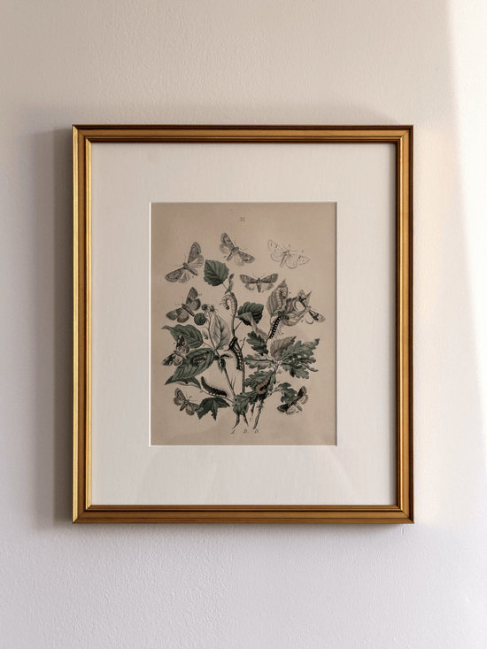 Antique 1843 Henry Noel Humphreys Hand-Colored Lithograph Print, Plate 32