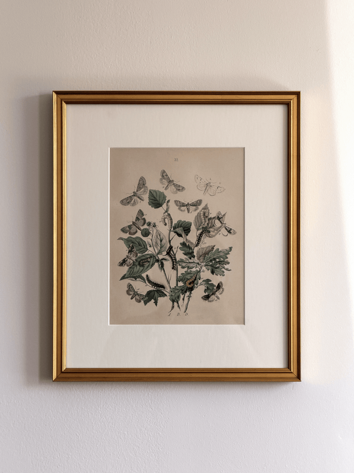 Antique 1843 Henry Noel Humphreys Hand-Colored Lithograph Print, Plate 32