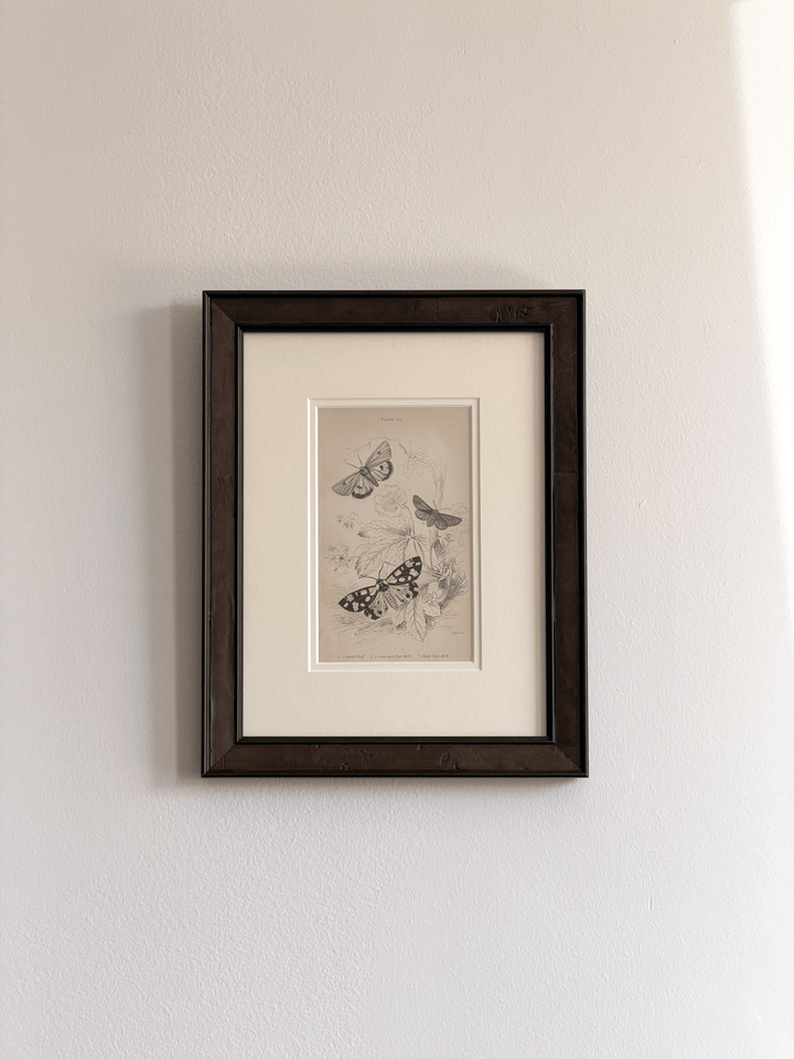 1836 William Home Lizars Hand-Colored Engraving | Plate 20