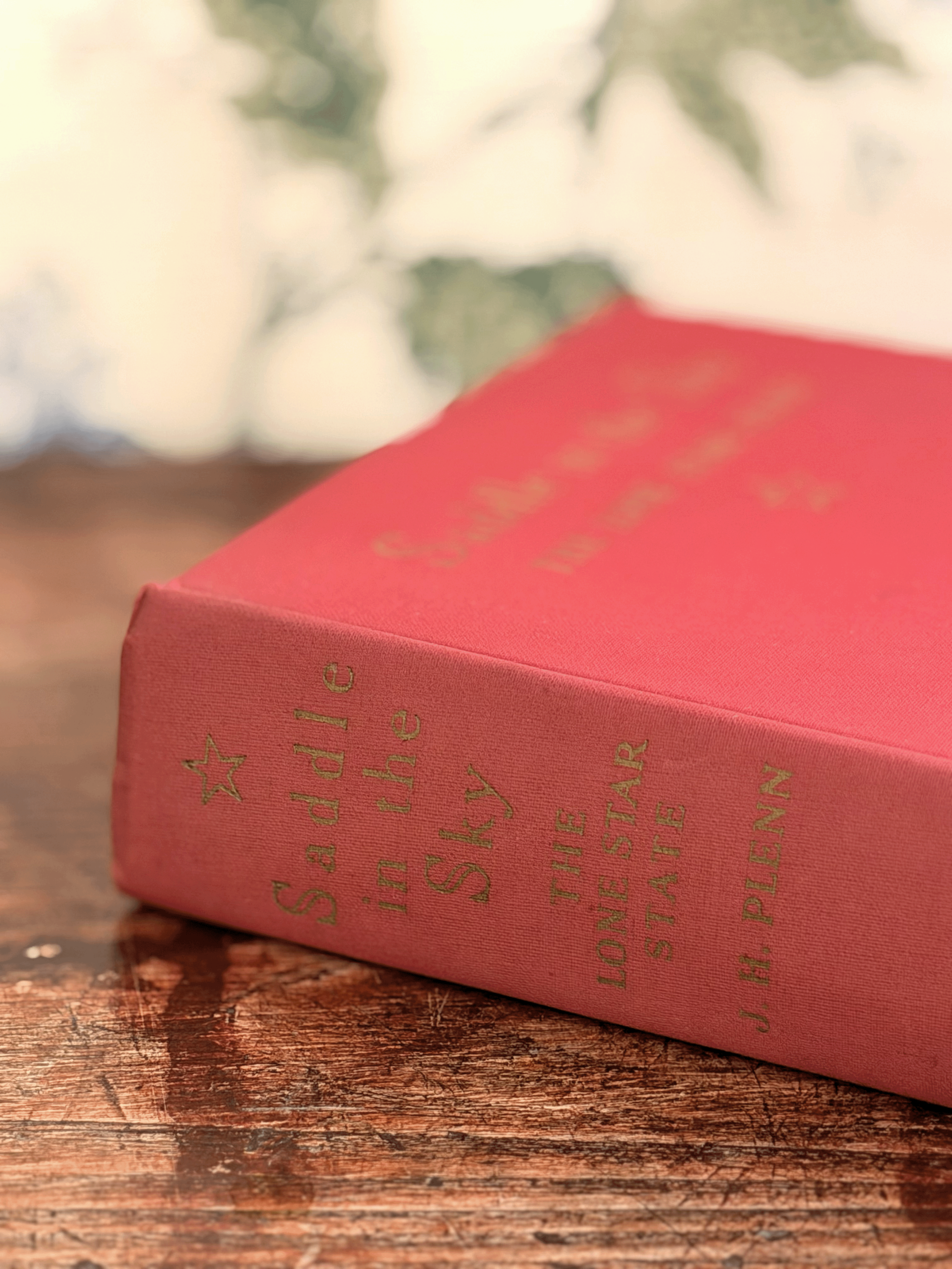 Saddle in the Sky: The Lone Star State, J.H. Plenn
