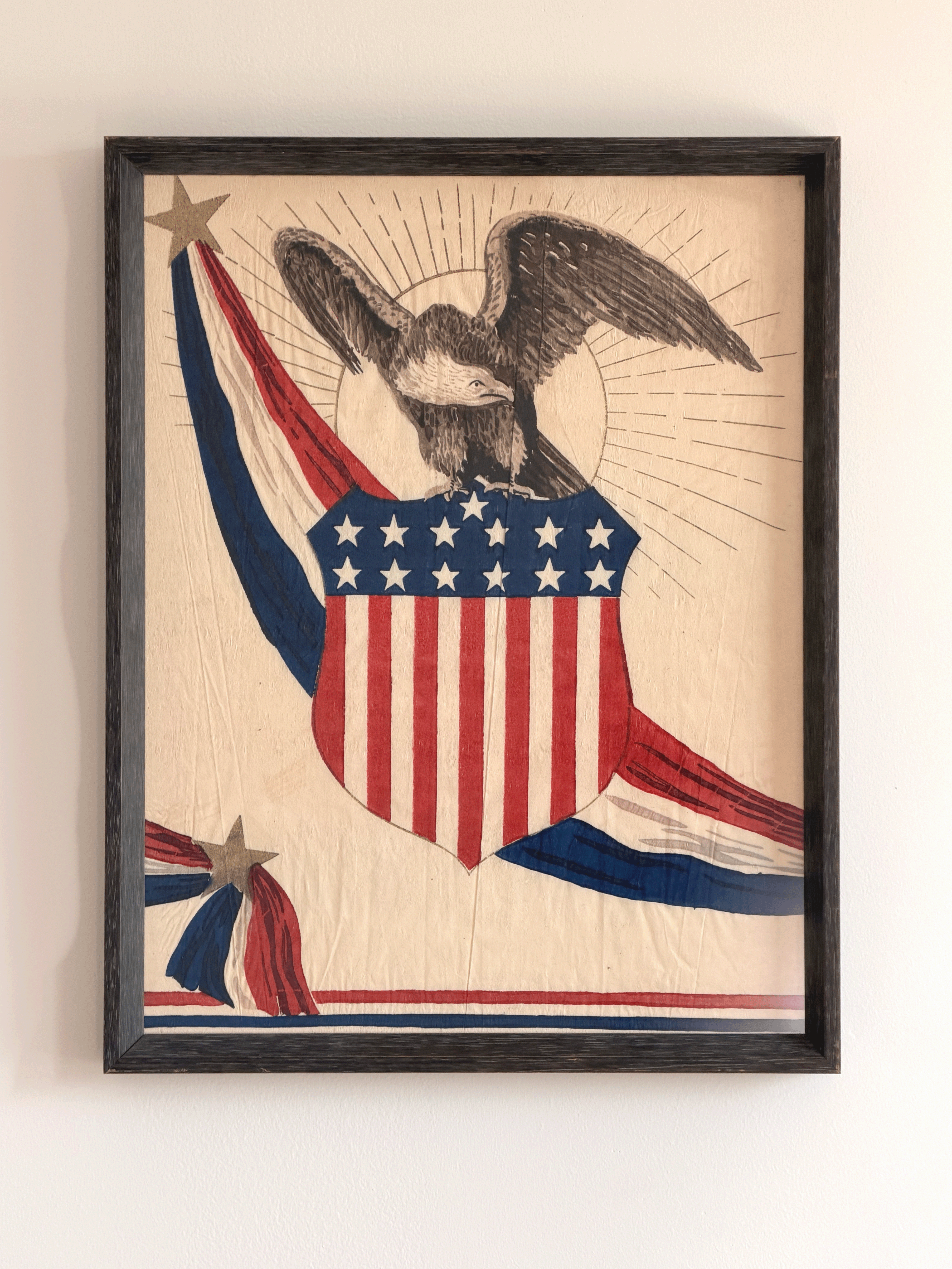 American Eagle Shield Art, Framed