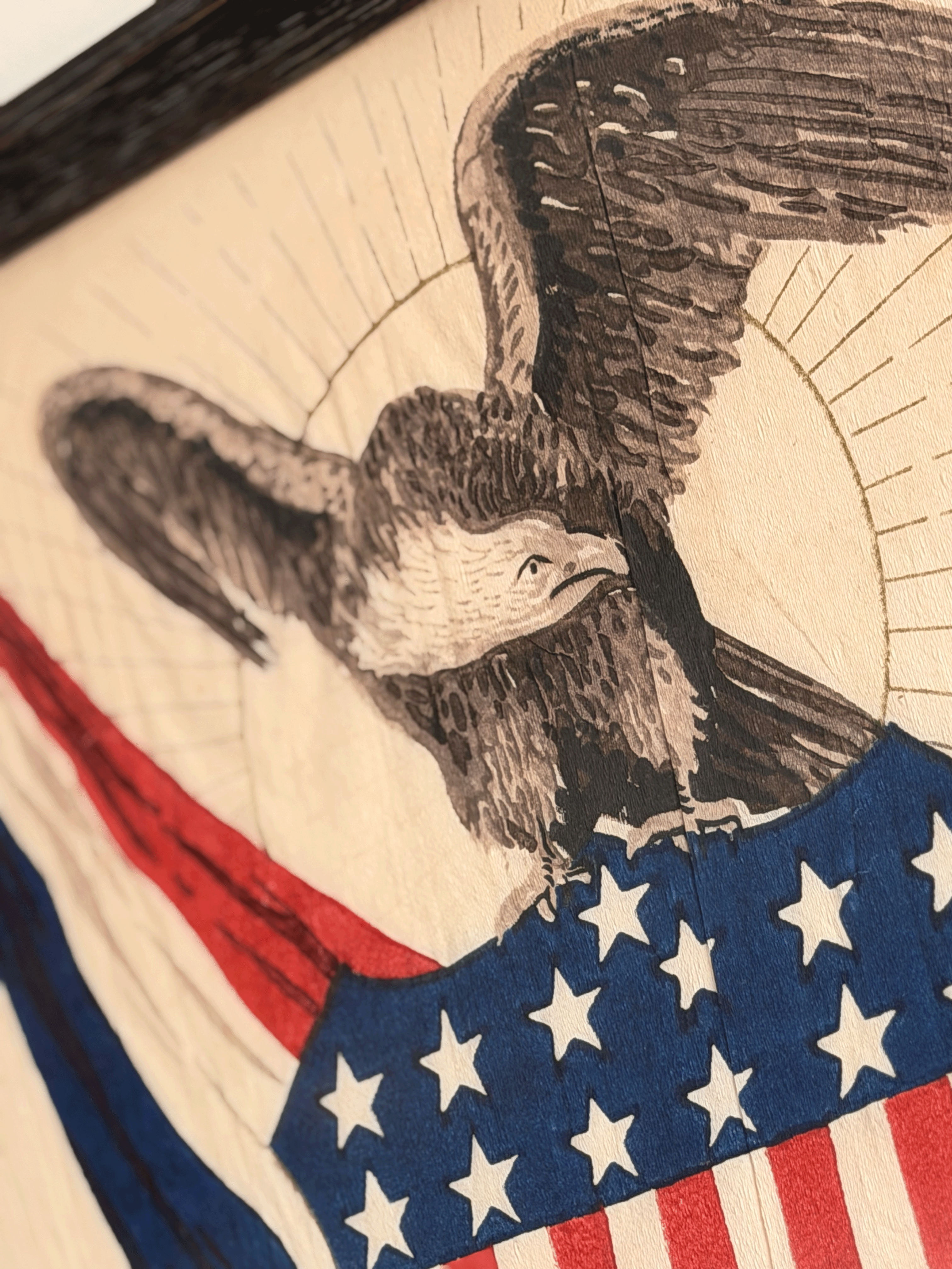 American Eagle Shield Art, Framed