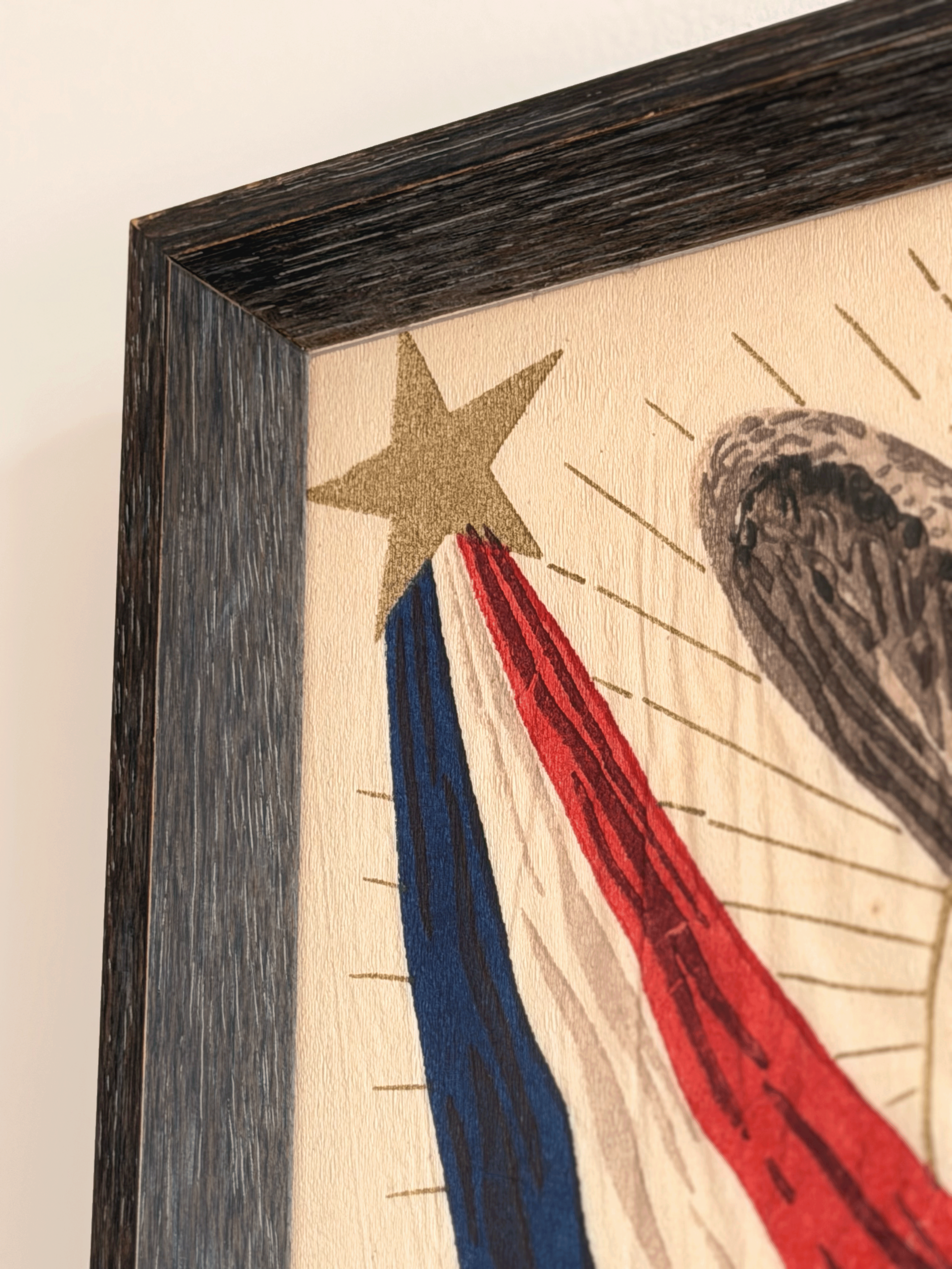 American Eagle Shield Art, Framed