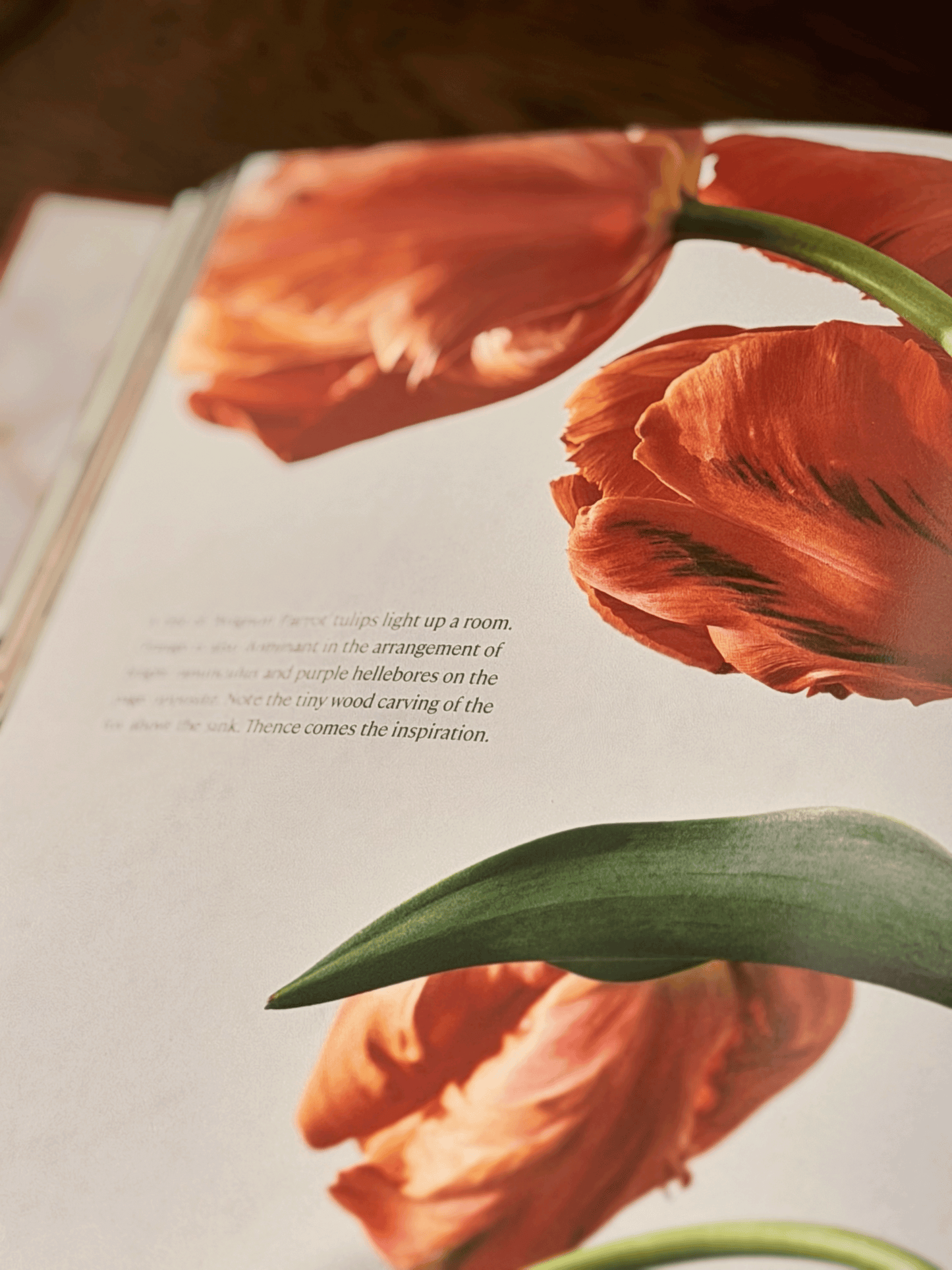 Home in Bloom Book