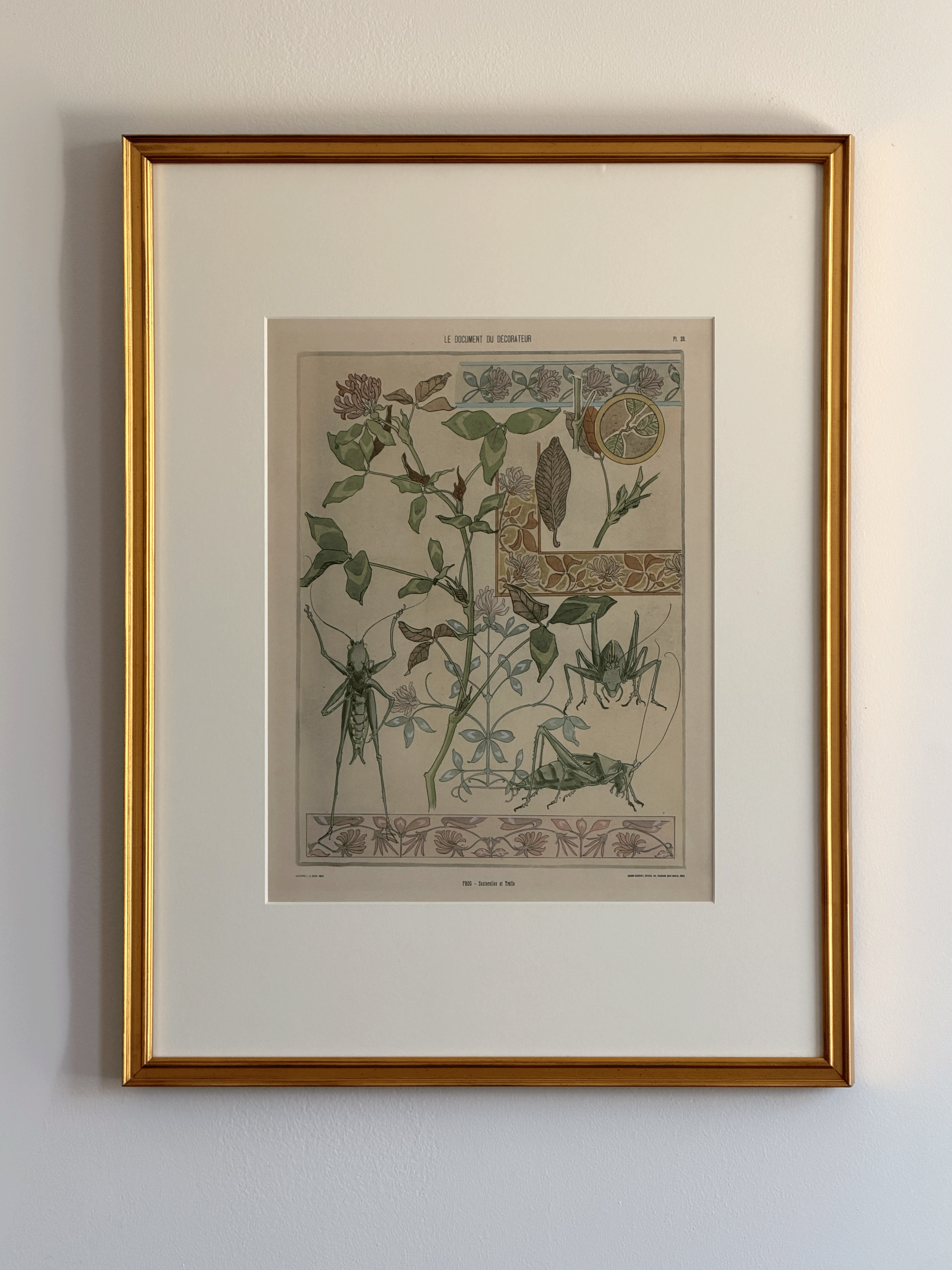 1900 Art Nouveau Design Pochoir, Botanical With Grasshoppers
