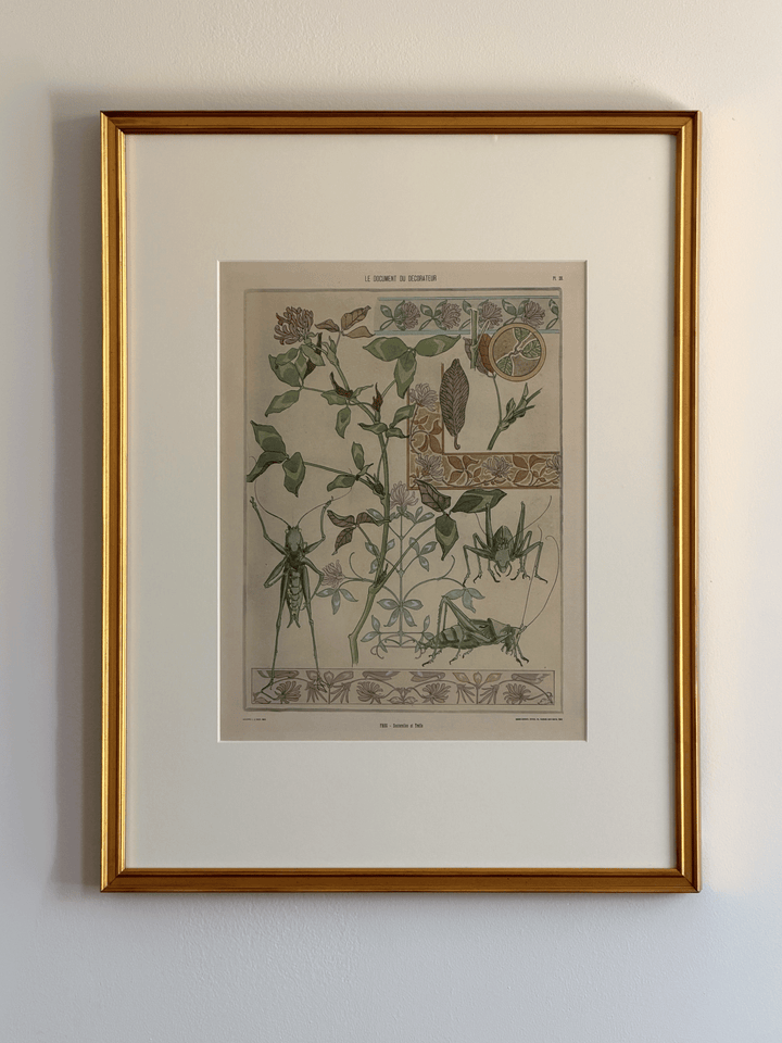 1900 Art Nouveau Design Pochoir, Botanical With Grasshoppers