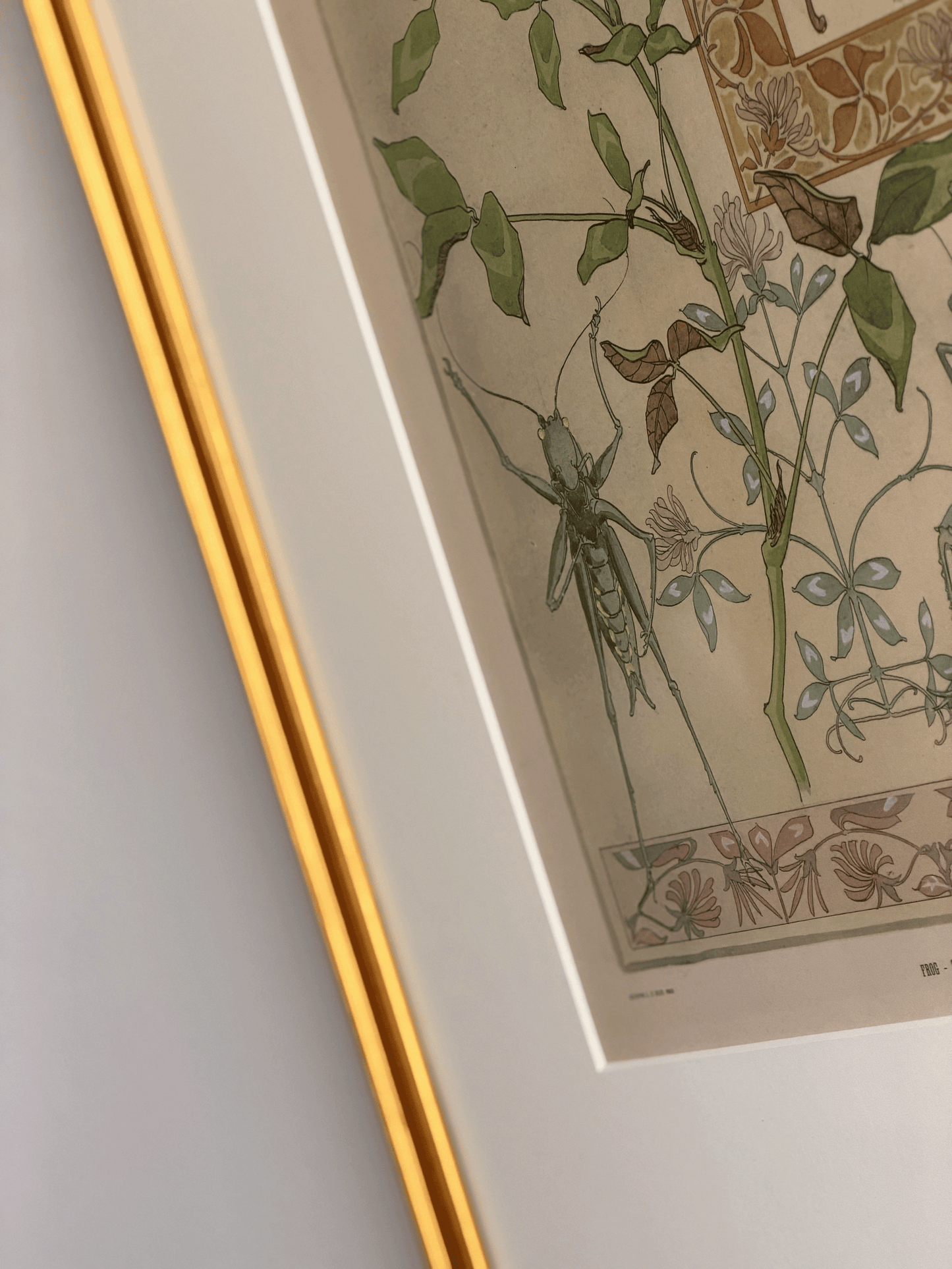 1900 Art Nouveau Design Pochoir, Botanical With Grasshoppers