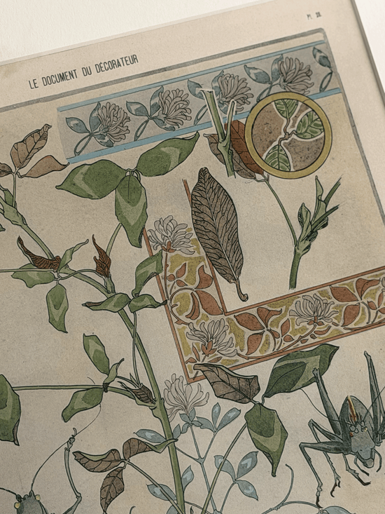 1900 Art Nouveau Design Pochoir, Botanical With Grasshoppers