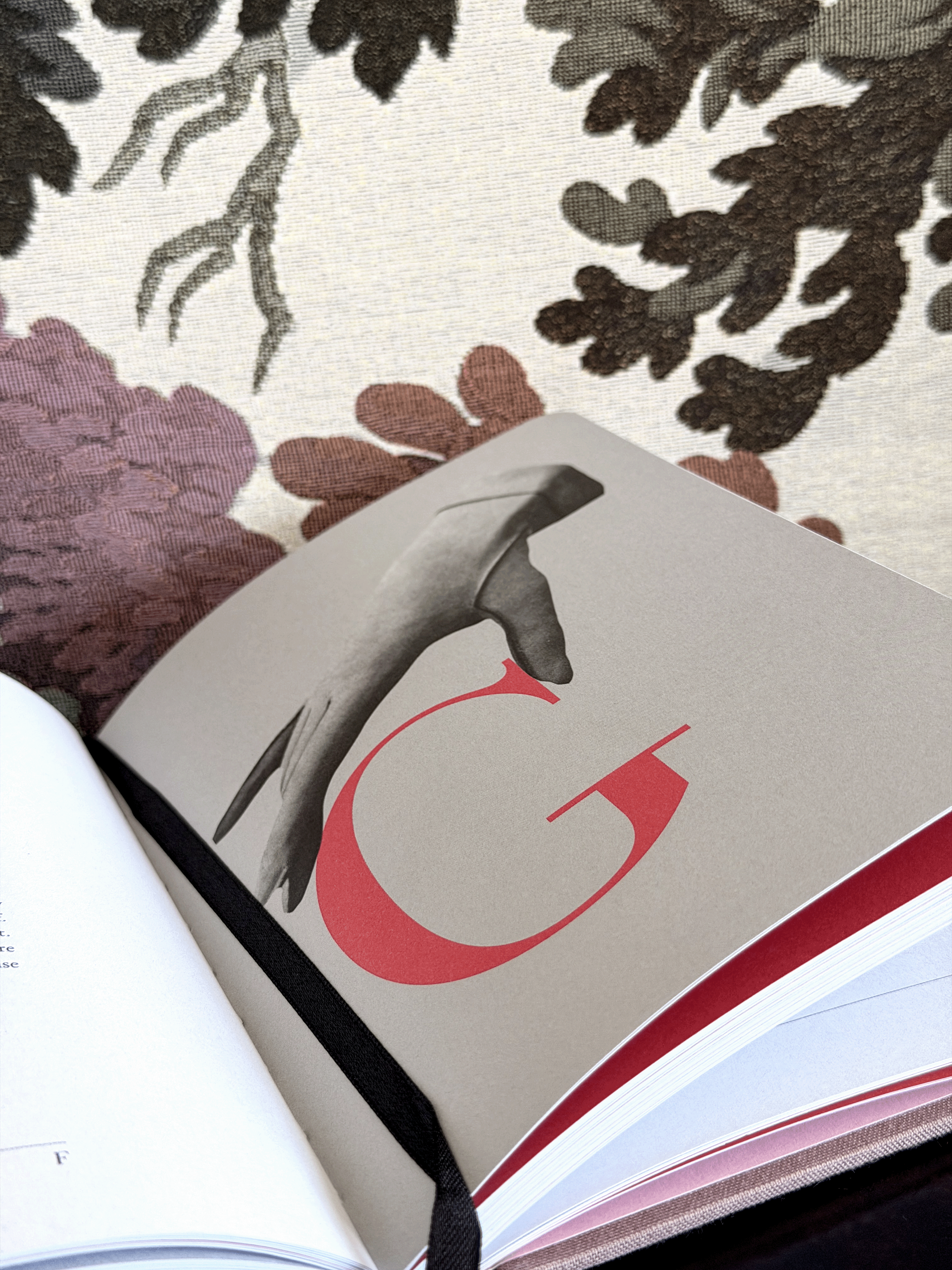 The Little Dictionary of Fashion, Christain Dior