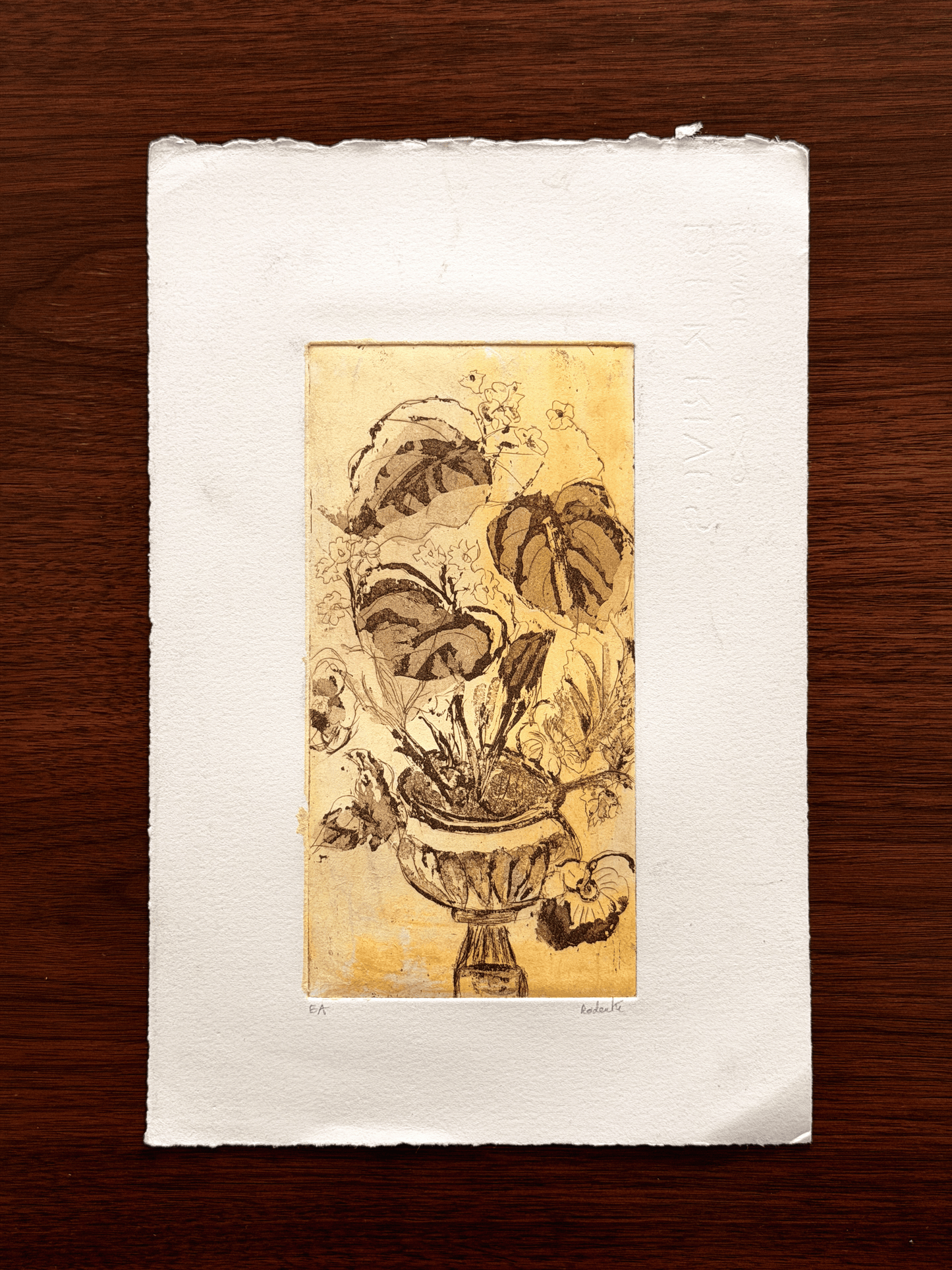 Radanté Botanical Etching - Artist Proof