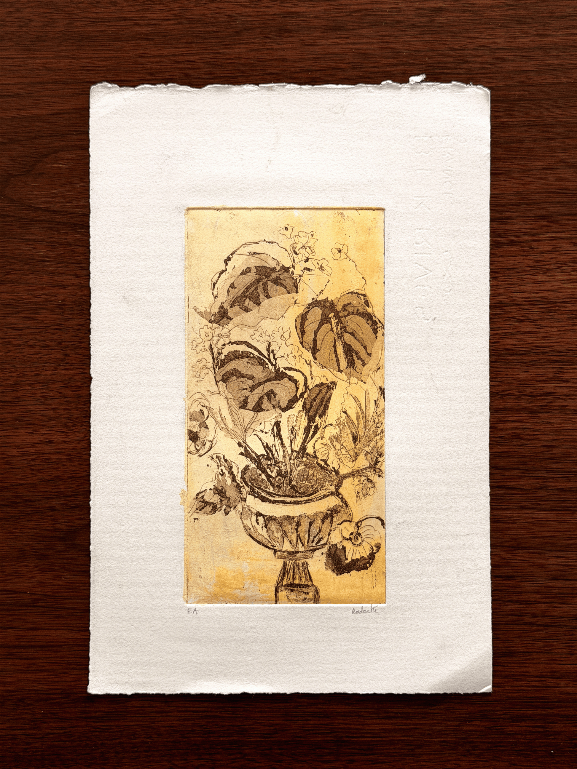 Radanté Botanical Etching - Artist Proof