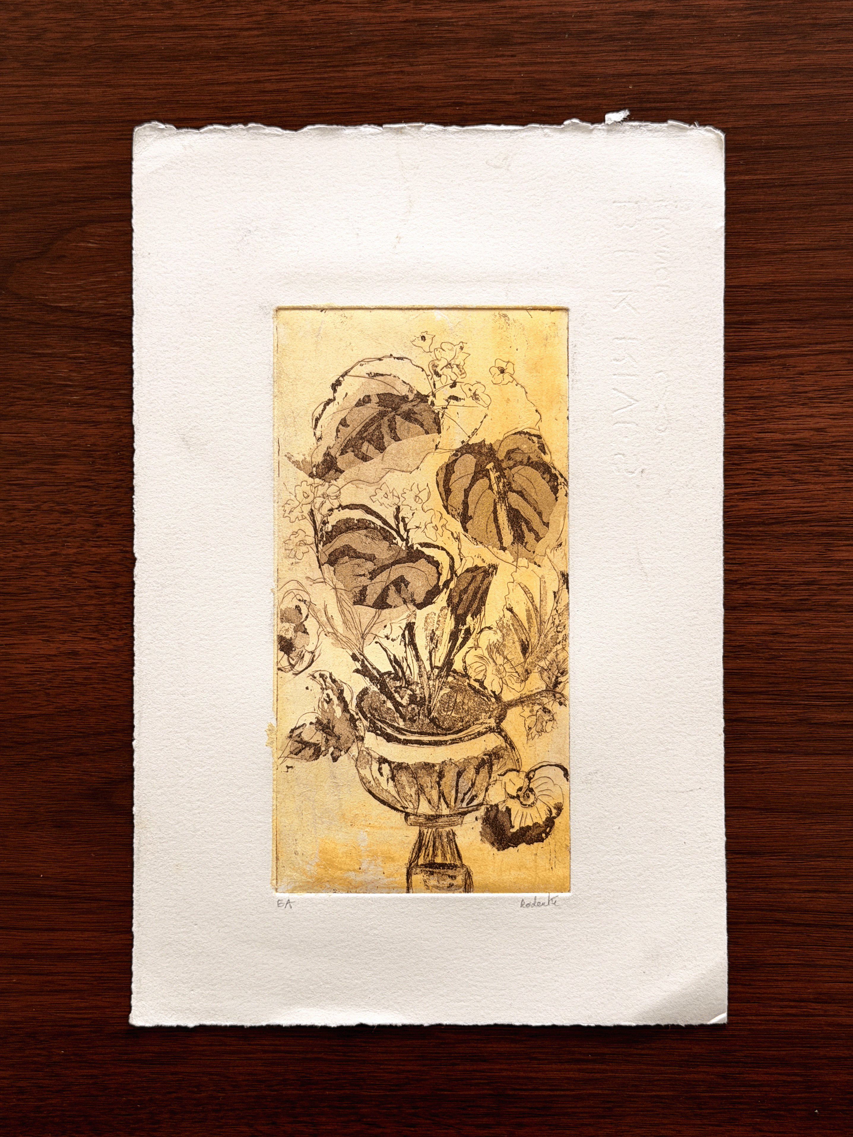 Radanté Botanical Etching - Artist Proof