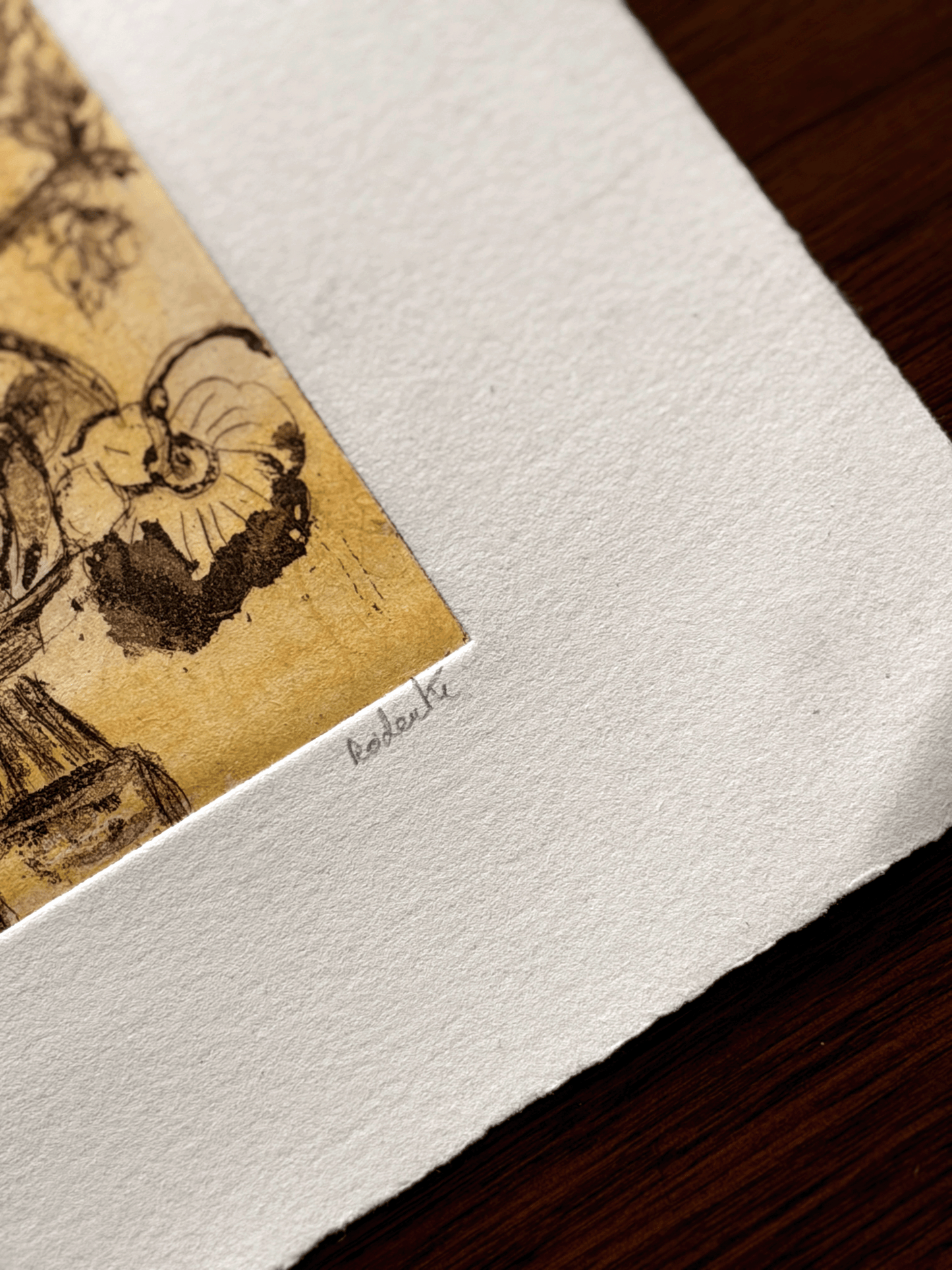 Radanté Botanical Etching - Artist Proof