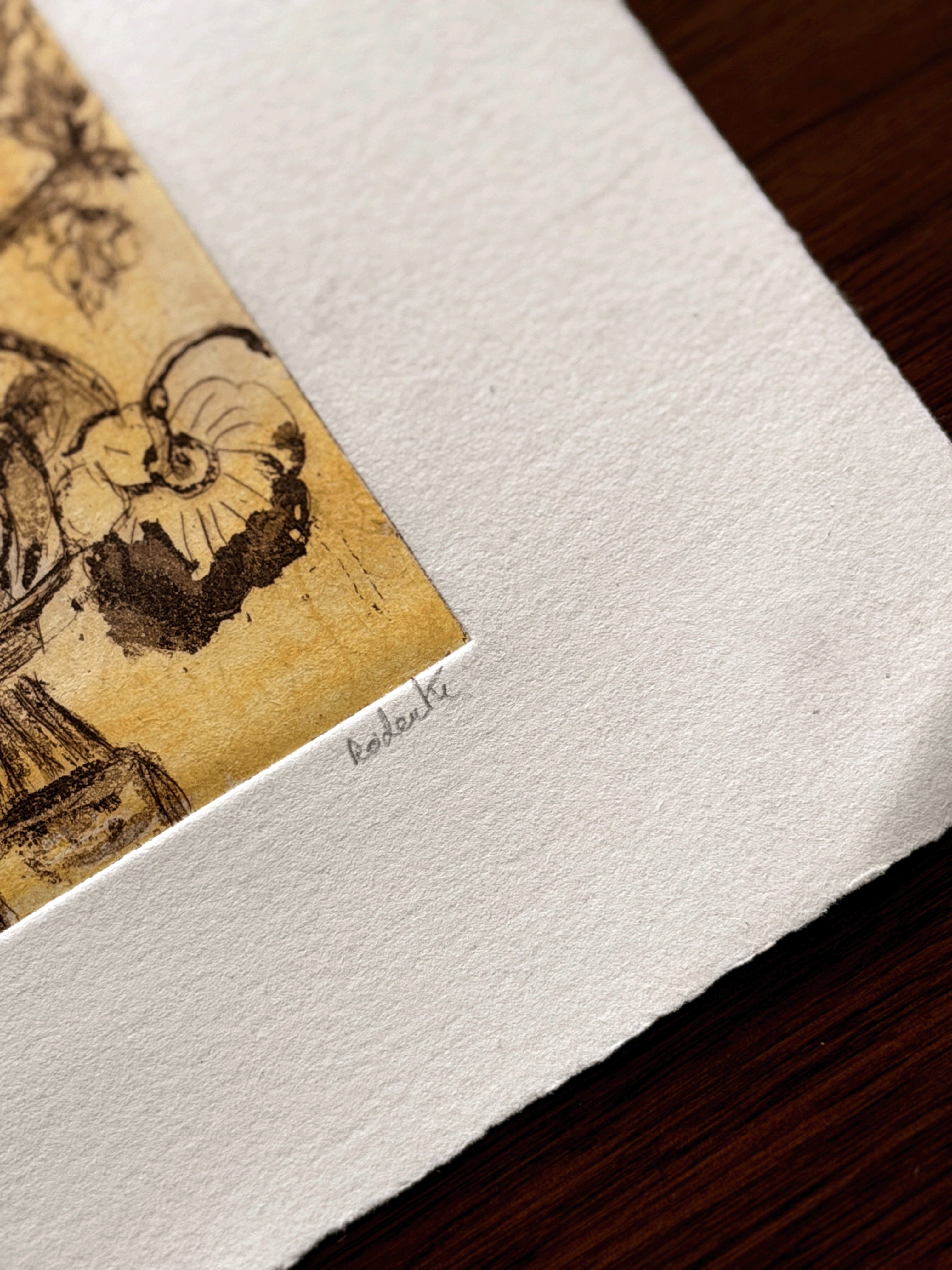 Radanté Botanical Etching - Artist Proof