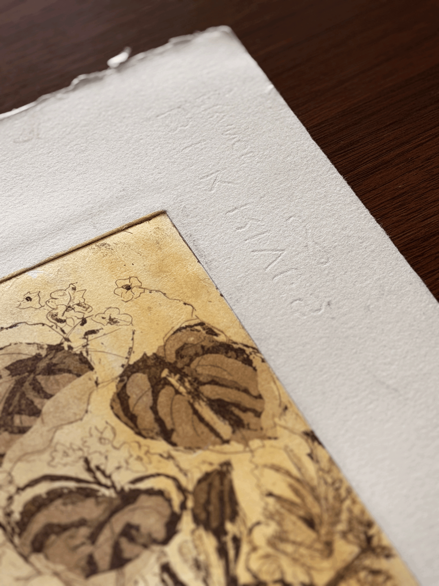Radanté Botanical Etching - Artist Proof