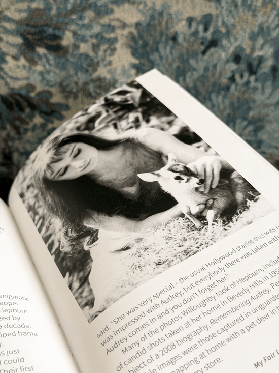 Little Book of Audrey Hepburn