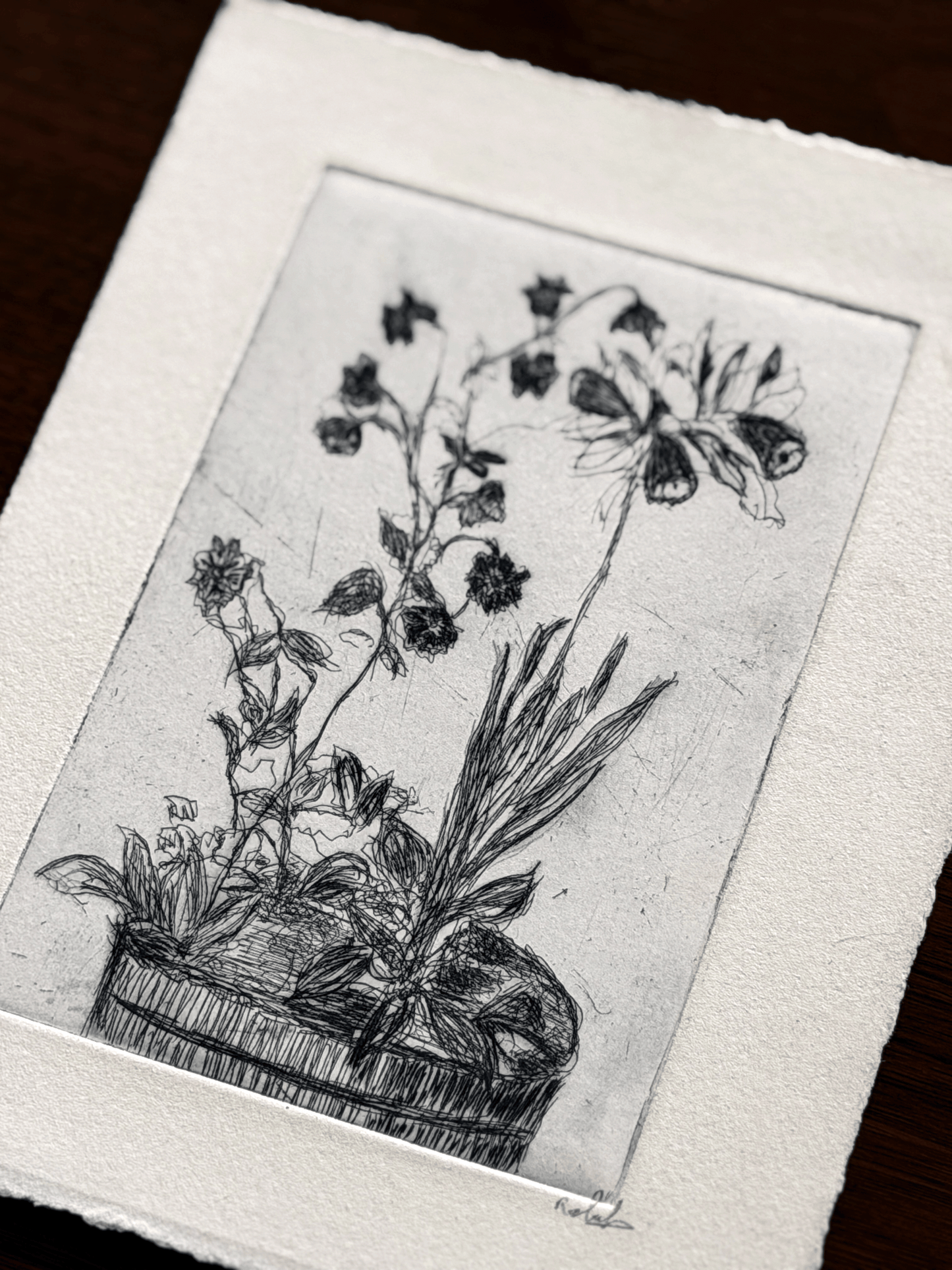 A black ink botanical etching on textured white paper, depicting wildflowers in a pot.