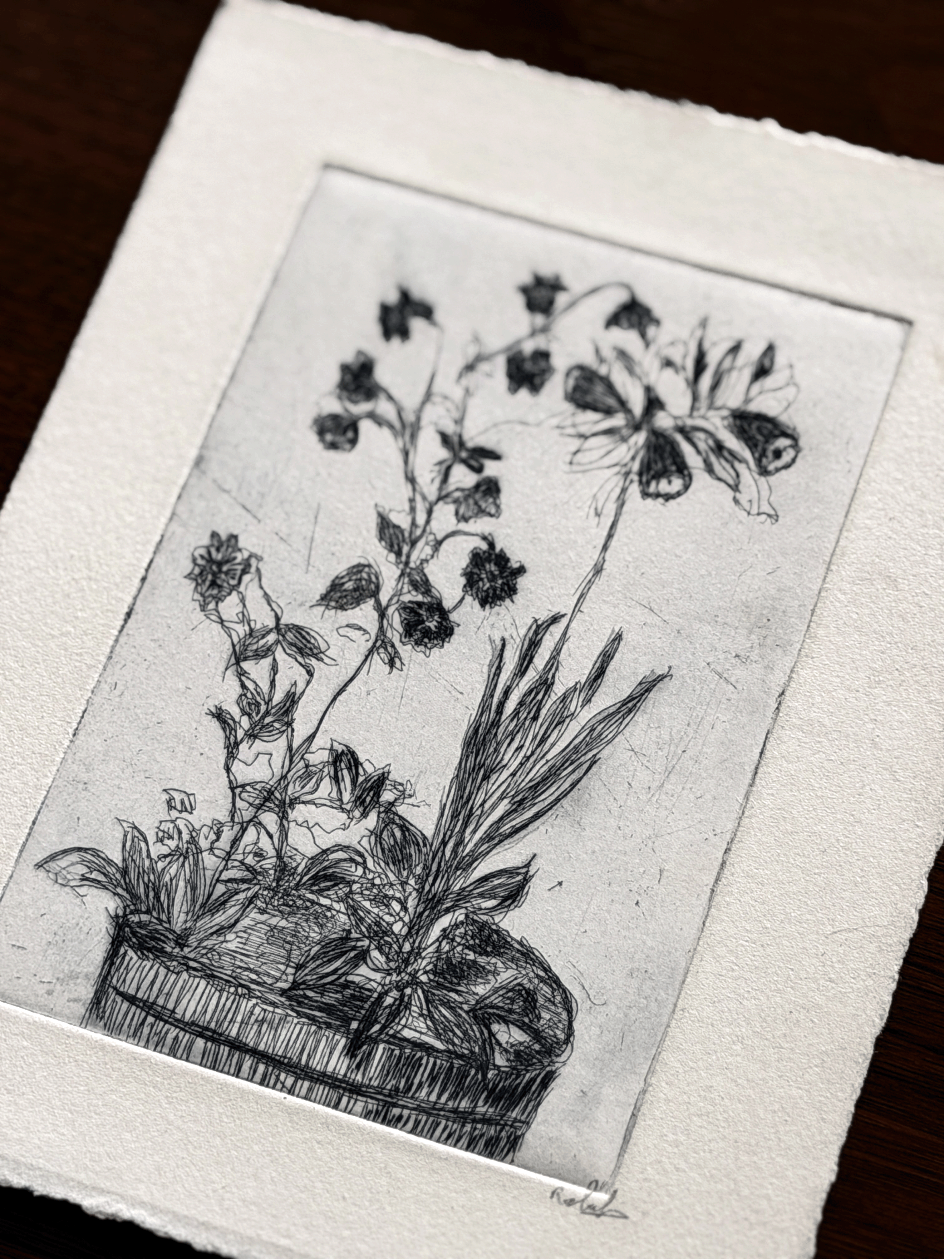 A black ink botanical etching on textured white paper, depicting wildflowers in a pot.